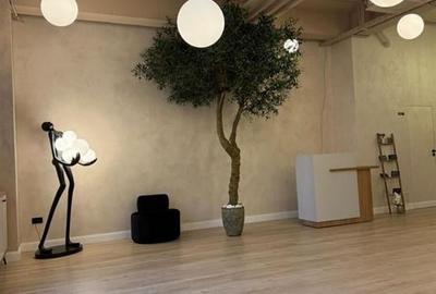 Spatiu comercial premium  complet echipat si gata de inchiriat, Brasov - 10