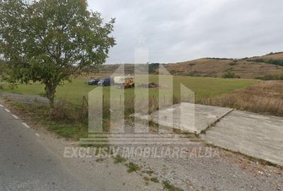 Teren Construcții extravilan de 5800 mp, în Periferie - 3