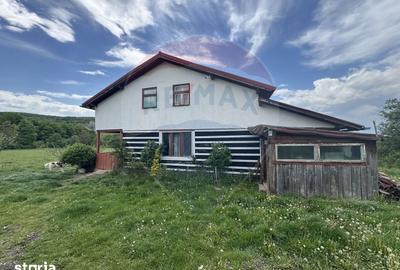 Casă cu 4 camere cu Teren 57600 Mp în Zimbor - 5