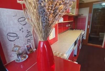 Apartament cu 2 camere decomandat în Podu Roș - 7