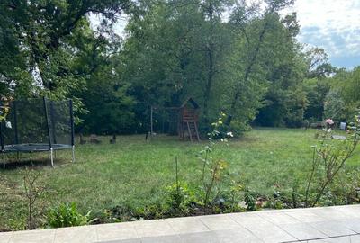 Proprietate inedita cu teren de 4400, si deschidere cu ponton pe Bega - 7