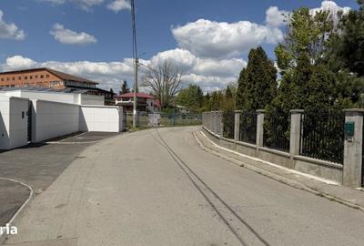Spațiu comercial, în Mogoșoaia - 6