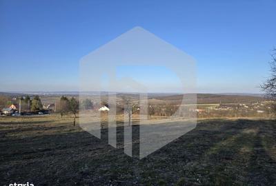 Teren de 24000 mp, în Sadu - 1