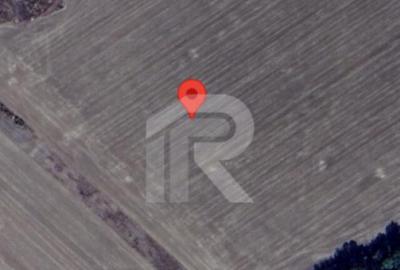 Teren de 5322 mp, în Gruiu