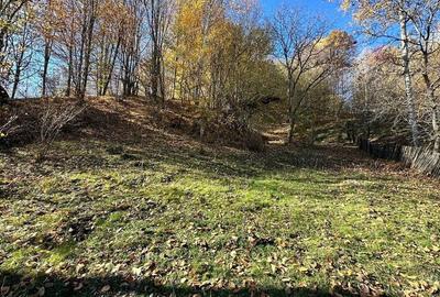 Teren de vanzare, zona montana, vedere panoramica, asfalt, utilitati - 5