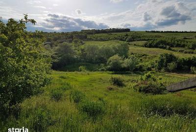 Teren de 1600 mp, în Copou - 1