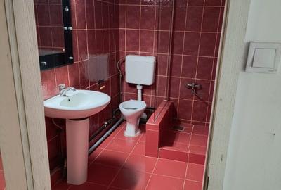 Un stil de via?a lini?tit,langa parcSibiu-Sub Arini apartament 4 cam. - 13