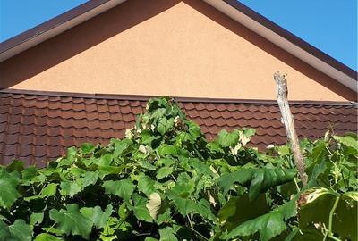 Casă cu 4 camere în Roman - 2