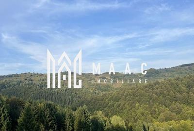 Teren Construcții intravilan de 14242 mp, în Sohodol - 1