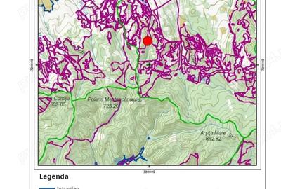 Teren de 10000 mp, în Vama - 3