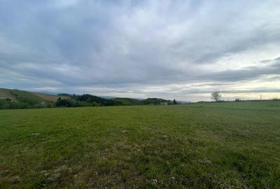 Teren Construcții intravilan de 11290 mp, în Șinteu - 1