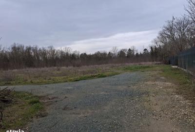 Spațiu comercial, în Central - 5