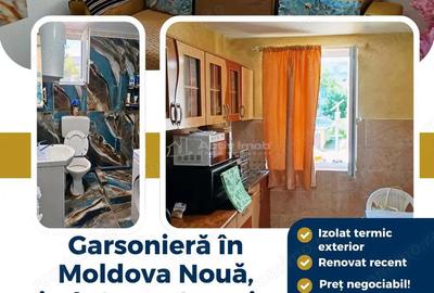 Garsoniera etaj 1 in Moldova Noua - 1
