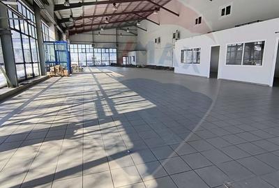 Spatiu industrial Hala Showroom ideal pentru productie sau depozitare - 12