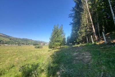 Teren Construcții intravilan de 5000 mp, în Nord - 15