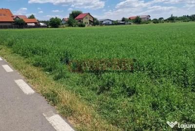 Teren de 9470 mp, în Bolintin-Deal - 4