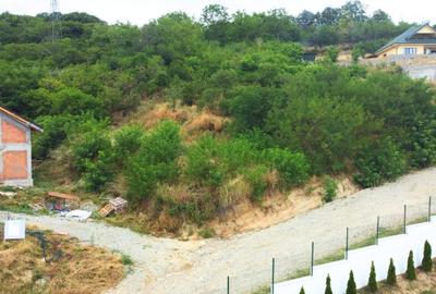 TEREN INTRAVILAN - RM. VALCEA - 12