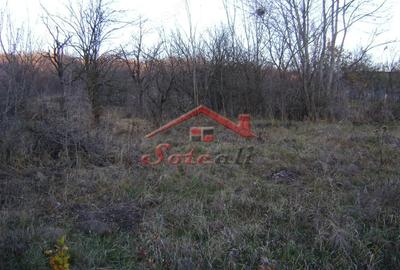 Teren de 2313 mp, în Cornu - 4