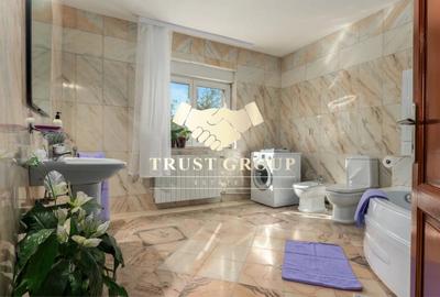 Vila 360 mp utili, teren 510 mp curte libera 300 mp la 200 m de Parcul Circului - 22