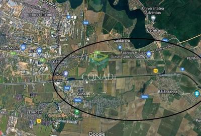 Teren agricol extravilan de 25244 mp, în Cernica - 3