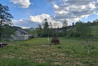 Teren Construcții intravilan de 2000 mp, în Călinești - 3