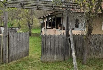 Casă cu 2 camere cu Teren 44 Mp în Vladimir - 1