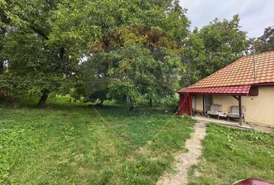 Casa traditionala De Vanzare cu 5 Hectare de teren - 5