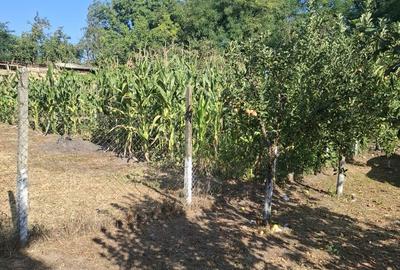 Casă cu 3 camere în Central - 8