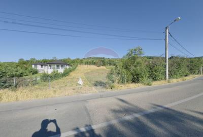 Teren 2.077mp compus din 4 parcele/intravilan/Str.Podgori... - 3