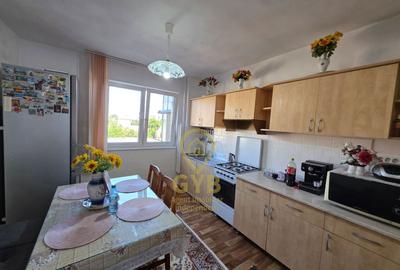 Apartament cu 2 camere decomandat, mobilat în Nufărul - 4