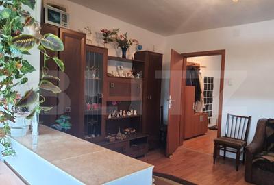 Apartament de vanzare, cu 1 camera, decomandat, bloc izolat,  zona Blascovici - 5