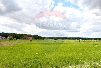 Casă individuală cu 3 camere cu Teren 550 Mp în Cosoba - 42