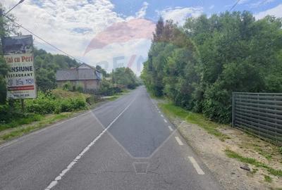 Casă cu 3 camere cu Teren 1268 Mp în Săpânța - 2