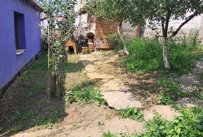 Casa singur in curte in Guserita - 7