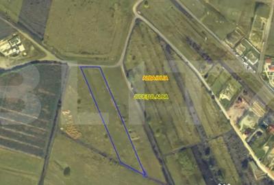 Teren de 6400 mp, în Cetate - 2