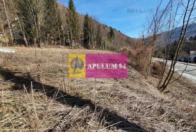 Teren Intravilan de Vânzare Sinaia - 2