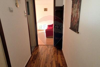 Apartament cu 2 camere semidecomandat, mobilat în Gemenii - 6