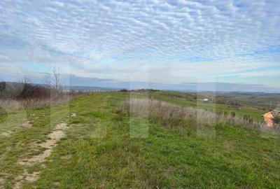 Teren de 1750 mp, în Borhanci - 5