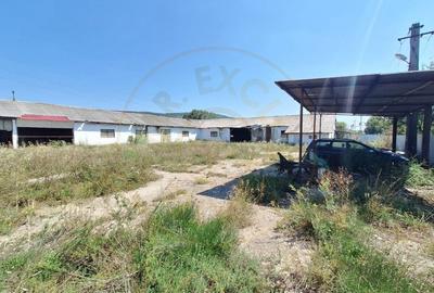 Proprietate industriala de vanzare – Hartiesti, jud. Arges - 2