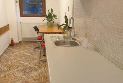 Spatiu de birou, demisol, vila, Parcul Carol Unirii, cu gradina Spatiu de birou, demisol, vila, Parcul Carol Unirii, cu gradina - 2