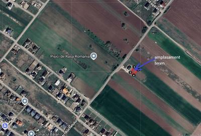 Comuna Berceni, 3 loturi a cate 330 mp, 15m deschidere - 2