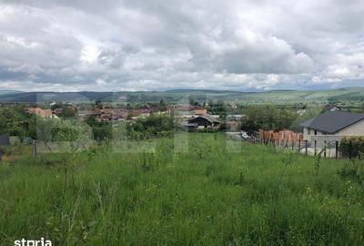 Teren de 10656 mp, în Bod - 11