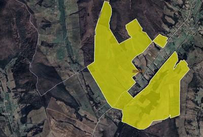 De vanzare plantatie de alun, situata in judetele Arad si Timis - 5