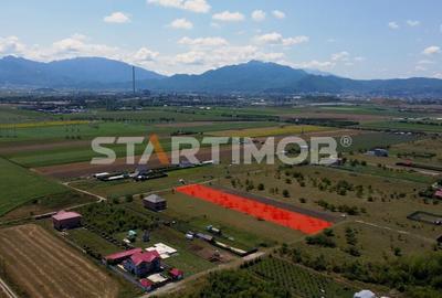 Teren intravilan Livada Sanpetru - 6