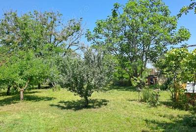Casă cu 5 camere cu Teren 1375 Mp în Frumușani - 3