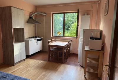 Apartament cu 2 camere semidecomandat în Bragadiru - 2