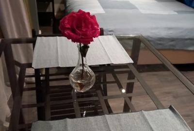 Garsoniera moderna, c-tie noua, vedere spre gradina Mitropoliei - 16