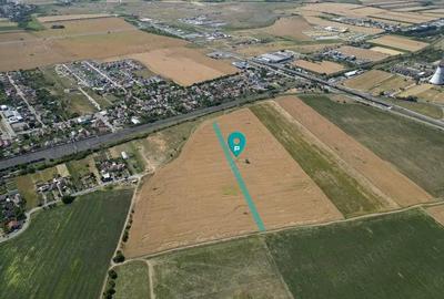 Tern intrevilan 4003 mp - 1