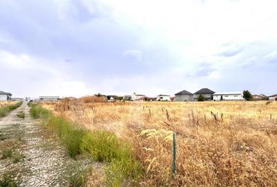 Teren intravilan 1.000 mp, front 30 mp, zona Magnolia Teren intravilan 1.000 mp, front 30 mp, zona Magnolia - 2