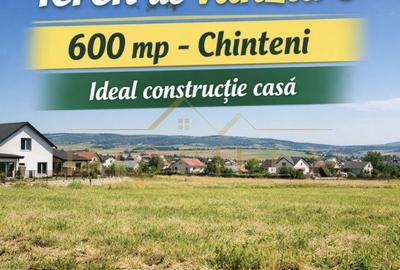 Spațiu comercial, în Chinteni